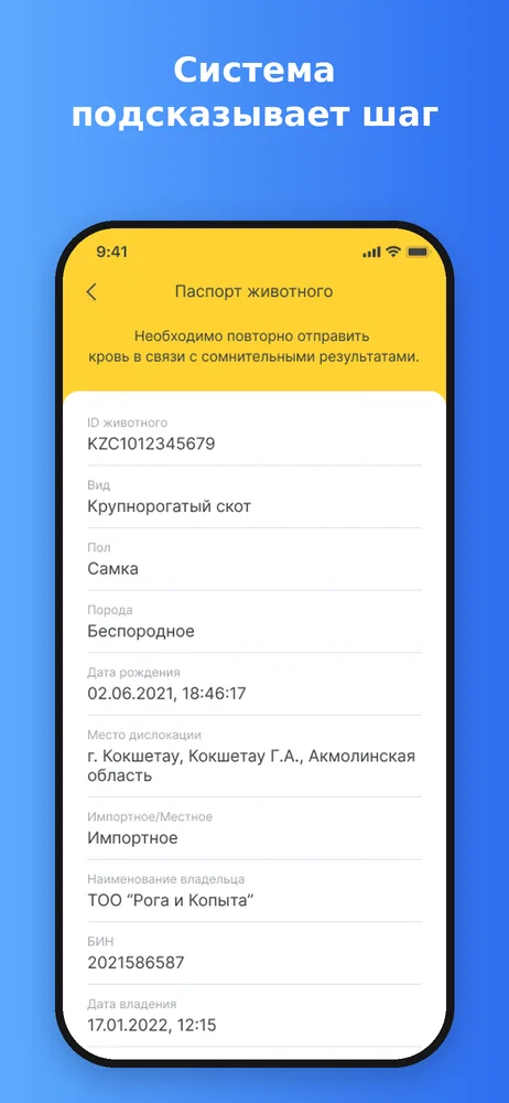 Малдерек — Следующий шаг